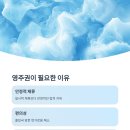 비자행정사사무소 이미지