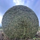 호연농축산 이미지