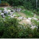 달마약수터 이미지