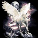 페가수스 이미지