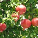 좋은친구공인중개사사무소 이미지