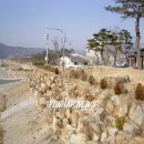 새천년생명의숲 이미지