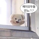 서비스기공사 | 강남 라미네이트 블랙필름 받아본 후기 2탄