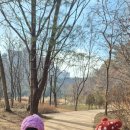 작은숲  어린이집 이미지