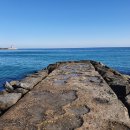 도깨비회수산 이미지