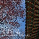 부용길1 | 가벼운 도봉산 산행 의정부 소풍길 (명상의길)