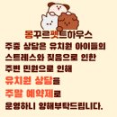 몽꾸르펫트하우스 이미지
