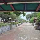 노스짐 | 길리 트라왕안 깔끔하고 조용한 숙소 추천 네로노스 조식부터 필터까지 후기