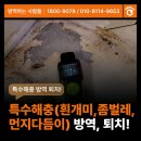 방역하는사람들 네이버블로그