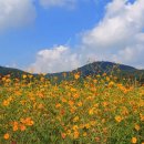 수당리마을회관 이미지