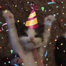 평전(여) | 2026년 3월의 일기