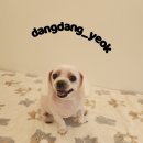 소사미용실