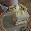 태평프라자상가 | 대전 비오는 날 2박3일 빵지순례, 소품샵 느좋투어