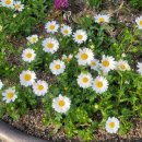 튼튼행정사사무소 이미지