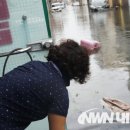 신광이용소 이미지