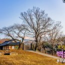 백제골5 이미지