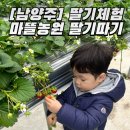 수제 딸기잼 만들기 | 서울 근교 남양주, 딸기농장 &#39;마뜰농원&#39; 딸기 따기 체험 후기 (시식 가능, 농장 체험, 수제 딸기잼 만들기)