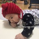크리에이블