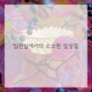 푸른하늘한의원 이미지