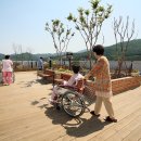 노인복지시설 -024. 노인요양공동생활가정 설치신고서와 사업계획서 작성법