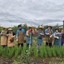 농업회사법인 (주)해우리팜2농장 | [농촌돌봄농장] 기다림과 반복 속에서 가능성을 키워가는 곳, (주)팜앤그린 농업회사법인ㅣ농촌돌봄...
