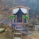 프린세스애견 | 공주 애견동반 카페 600평 캠핑컨셉의 분위기 좋은 신관동 카페 프린세스 피크닉