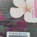 두호동 책이랑바다랑 이미지