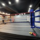 강릉복싱체육관 이미지