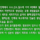 Re:캐나다산 소나무에서 추출한 천연유기유황 &#34;MSM&#34; 영상 이미지