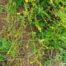 선학초등학교 이미지