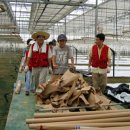 에덴농장 이미지