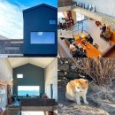 사선2길 | 제주 서쪽 카페 오션뷰와 고양이가 있는 슬로보트 내돈내산