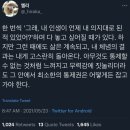 모데스트 몬스터 | 실수 투성이라도 봄인가 봐