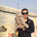 코끼리인형뽑기 이미지