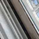 세움클린 | 전주시 완산구 반월동 세움펠리피아 거주지청소 후기｜2인 1조 7시간 집중케어｜프랜드홈케어
