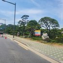 왕성농장 이미지