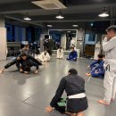 ART OF MMA 이미지