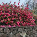 어린이뮤지컬 <신데렐라> 이미지