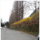 청구셀프세차 이미지