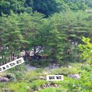 지리산뱀사골 맑은물 펜션 이미지