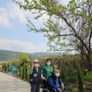 산책하는요양원 이미지