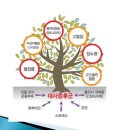 트리짐 트리태닝 이미지