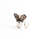 하이, 멍 이미지