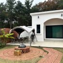 델루나 관광펜션 네이버블로그