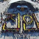 용담호홍삼