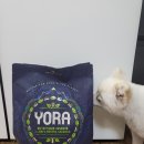 성우씨엔티 주식회사 | 사료 추천] 요라-스몰 브리드 동애등에 하이포알러제닉 사료로 알러지 잡고 건강해지기/ 내돈내산 찐 후기