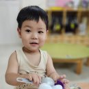 풀잎계란 Daum카페