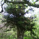 천년바위민박 이미지