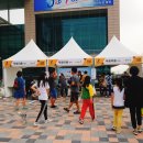 발산중 입구 주변 | 용인반려동물나눔축제 후기 : 에코하우스만들기 등등 (개힘듦)