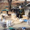 거부농장 이미지